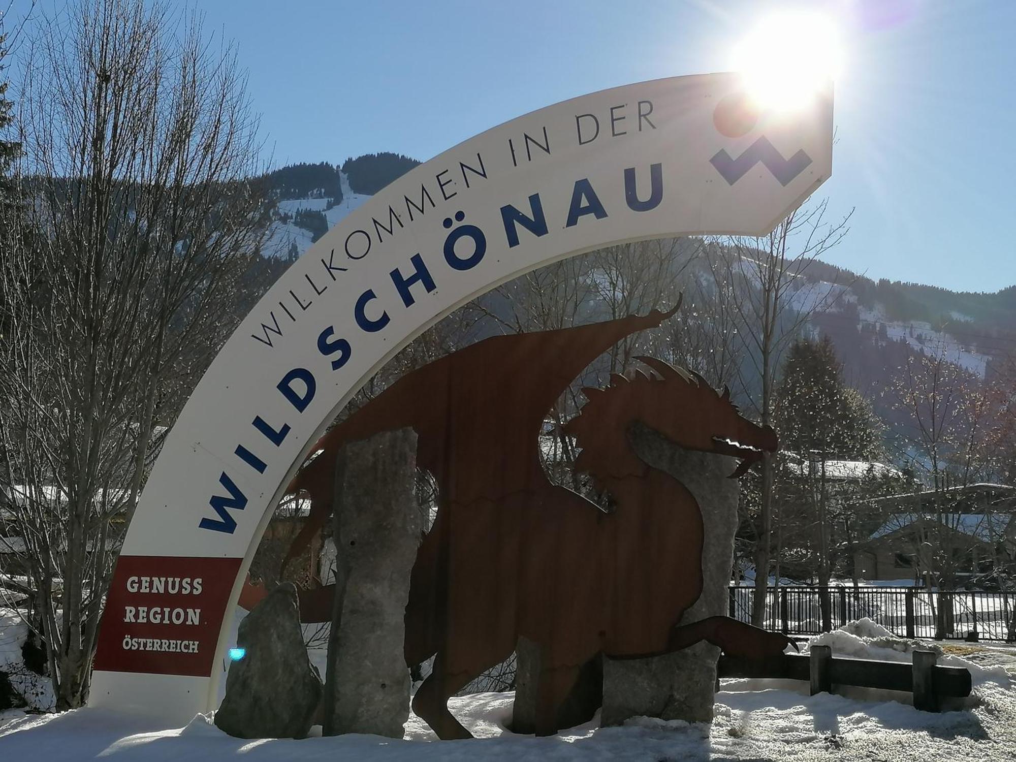 Ferienwohnung Sonnhangblick Von Fewo-Plan Wild015 Niederau Eksteriør bilde